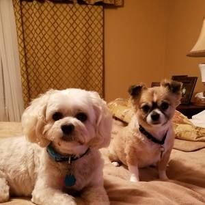 Meet your Posher, Lyubochka